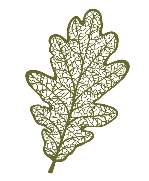 Vector oak leaf, isolerad på vit bakgrund — Stock vektor