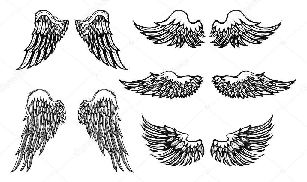 Hand-drawn Wings, vector set