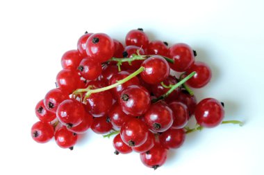 Kırmızı frenk üzümü kümeleri, beyaz arkaplan