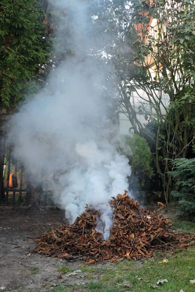 Burning a heap of dry leaves and some branches on a bonfire in a garden