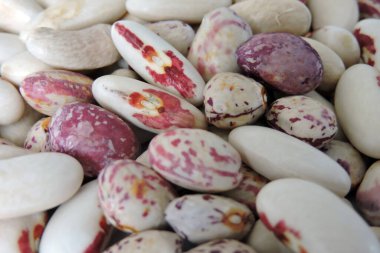 Yakından renkli fasulyeler.