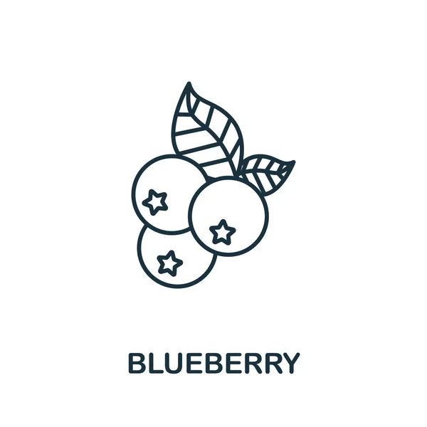 Blueberry Icon Fruits Collection Simple Line Element Blueberry Symbol Templates — Stock Vector