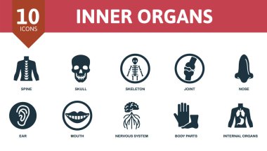 İç Organ simgesi seti. Omurga, iskelet, burun ve daha fazlası gibi düzenlenebilir iç organlar içerir.