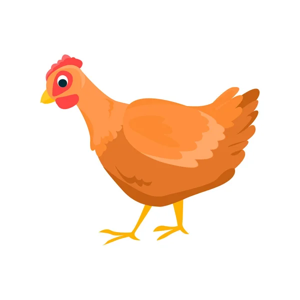 Куриная плоская икона. Цветной векторный элемент из коллекции птиц. Креативная курица для веб-дизайна, соблазна и инфографики. — стоковый вектор