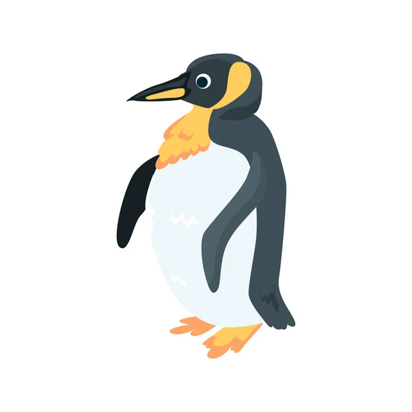 Ícone plano do pinguim. Elemento vetorial colorido da coleção de aves. Ícone de pinguim criativo para web design, modelos e infográficos. — Vetor de Stock