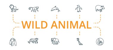 Vahşi Hayvan ikonu seti. Kaplan, fil, zürafa ve daha fazlası gibi düzenlenebilir simgeler içerir.