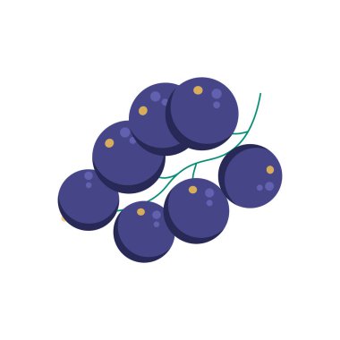 Hindistan cevizi ikonu. Meyve koleksiyonundan basit bir element. Web tasarımı, şablonlar, bilgi grafikleri ve daha fazlası için yaratıcı hindistan cevizi simgesi