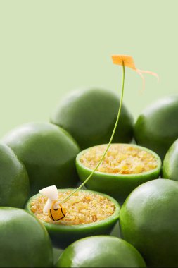 Citrus 'un Mikro Dünyası: Limon Yığını İçinde Meyve Kabuğundan Uçurtma Uçuran Minik Şekil