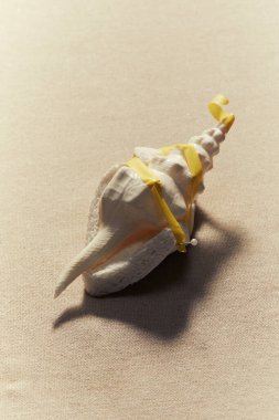 Deniz kabuğunun sanatsal natürmortu Sarı Kurdele Süngerle Bağlı