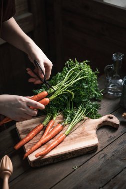 Makasla taze havuç yeşilliği budamaya Yaklaş