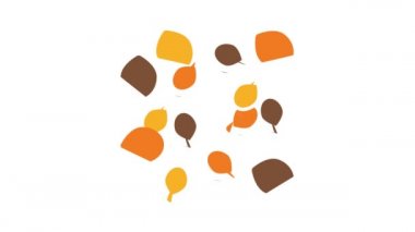 Fındık Gıda Farklı Simge Canlandırması