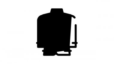 Çin Yeni Yıl Şölen Simgesi Canlandırması