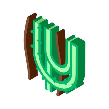 liana bitkisel izometrik ikon vektör çizim rengi