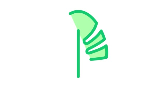 Ikona listů rostlin Animace — Stock video