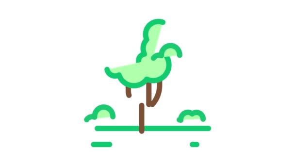 Джунглі лісове дерево іконка анімація — стокове відео