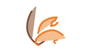 Brezilya fındık simgesi ana hatları çizimi