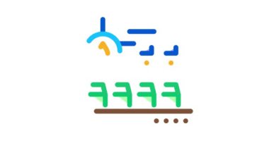 meyve suyu Taşıyıcı Simgesi Canlandırması