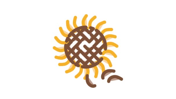 Ikon biji bunga matahari garis besar gambar — Stok Video