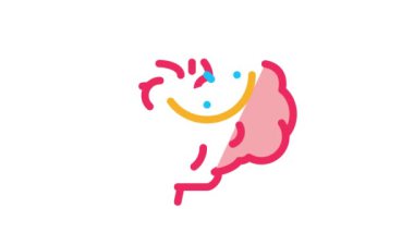 Beyin Akıl Pusulayı Simge Canlandırması