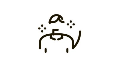 Hesap Yöneticisi Simge Canlandırması