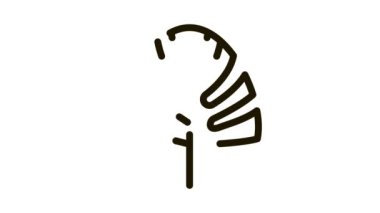 bitki yaprağı simgesi canlandırması