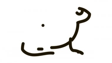 tropik kurbağa simgesi canlandırması