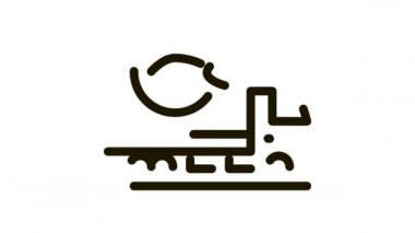 Balık teslimatı Simge Canlandırması