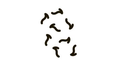 kahve çekirdekleri simge canlandırması