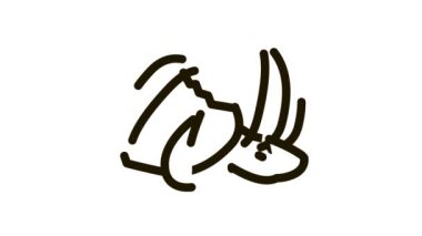 Fındık Cevizi ikonu ana hatları çizimi