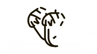 palamut fındık Simgesi Canlandırması