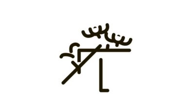 çiçek hediye kutusu Simge CanlandırmasıName