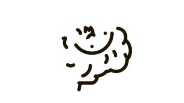 Beyin Akıl Pusulayı Simge Canlandırması