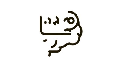 Beyin Simgesi Canlandırması için anahtar