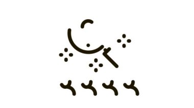 araştırma izleyicisi soru Simge Canlandırması