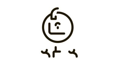 Araştırma Simgesi Canlandırması için bilginin kapatılması