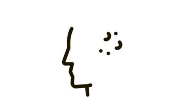 Dermatit Simgesi Canlandırmasının ana sorunu