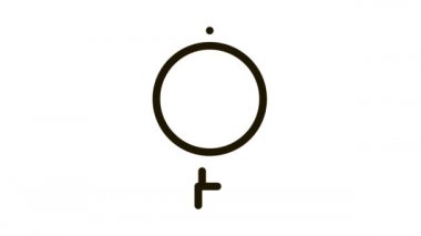 Mide Simgesi Canlandırması üzerine ayrıntılı çalışma