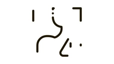 Mide sorunlarının tespiti Simge Canlandırması