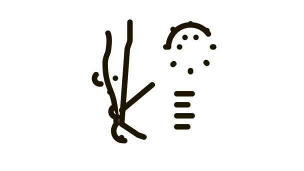 Сыпь дерматит на ногах Icon Animation — стоковое видео