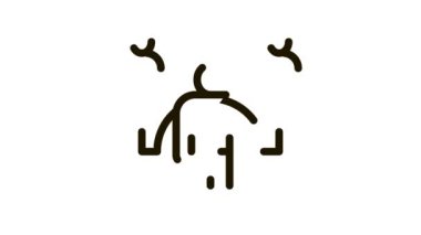 emlakçı temsilcisi Simge Canlandırması