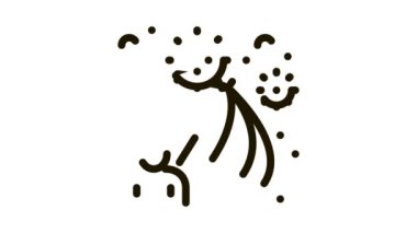 Simge Canlandırmasına karşı şemsiye koruması