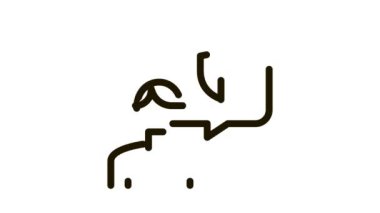 Vücut Simgesi Canlandırmasını Korumayı Düşünme