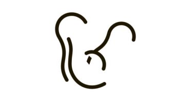 avokado Simgesi Canlandırmasını kes