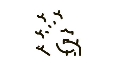 Kadın Simge Canlandırması tarafından sunulan insanların sunumu