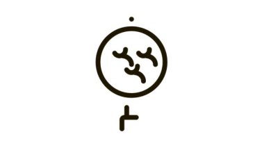 insanlar Simge Canlandırmasını araştırıyor