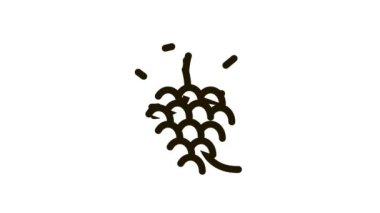 Üzüm demeti Simge CanlandırmasıName