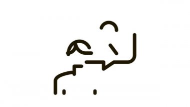 erkek gönüllü simge canlandırması