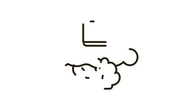 kitap Bulutu Simgesi Canlandırması