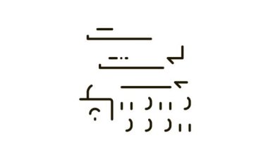 ikili koruma algoritması simge canlandırması