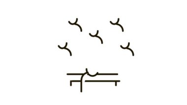 iş semineri Simge Canlandırması